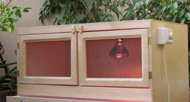 Jak vyrobit spolehlivého kuřata?